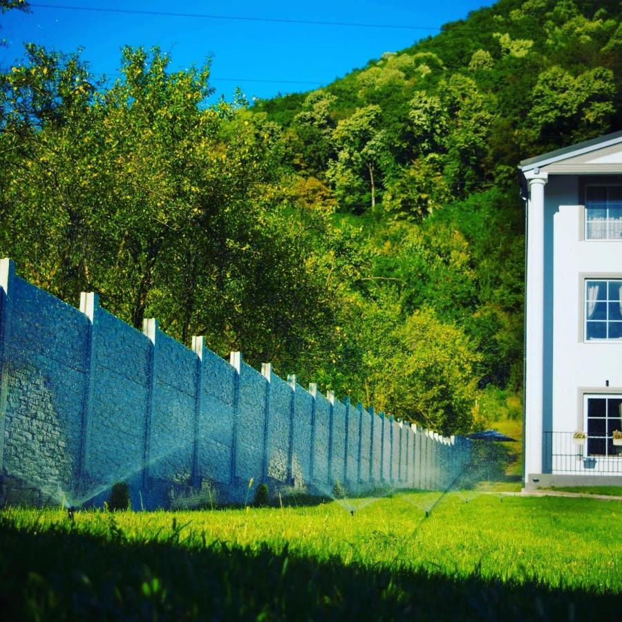 Green Hill Villa Călimăneşti Εξωτερικό φωτογραφία
