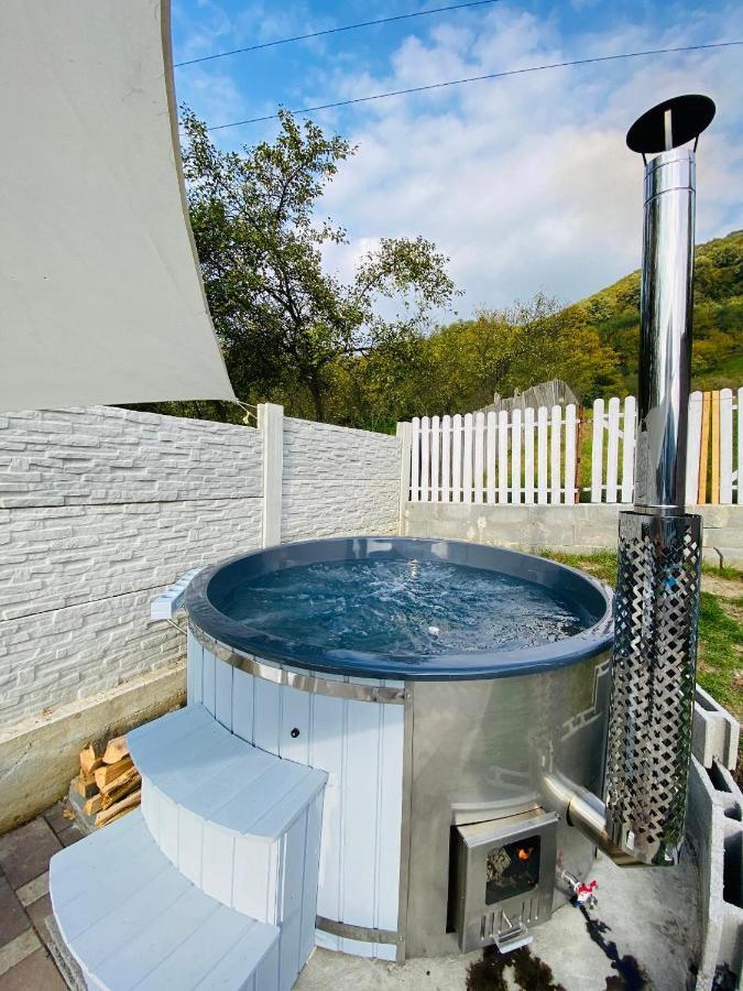 Green Hill Villa Călimăneşti Εξωτερικό φωτογραφία