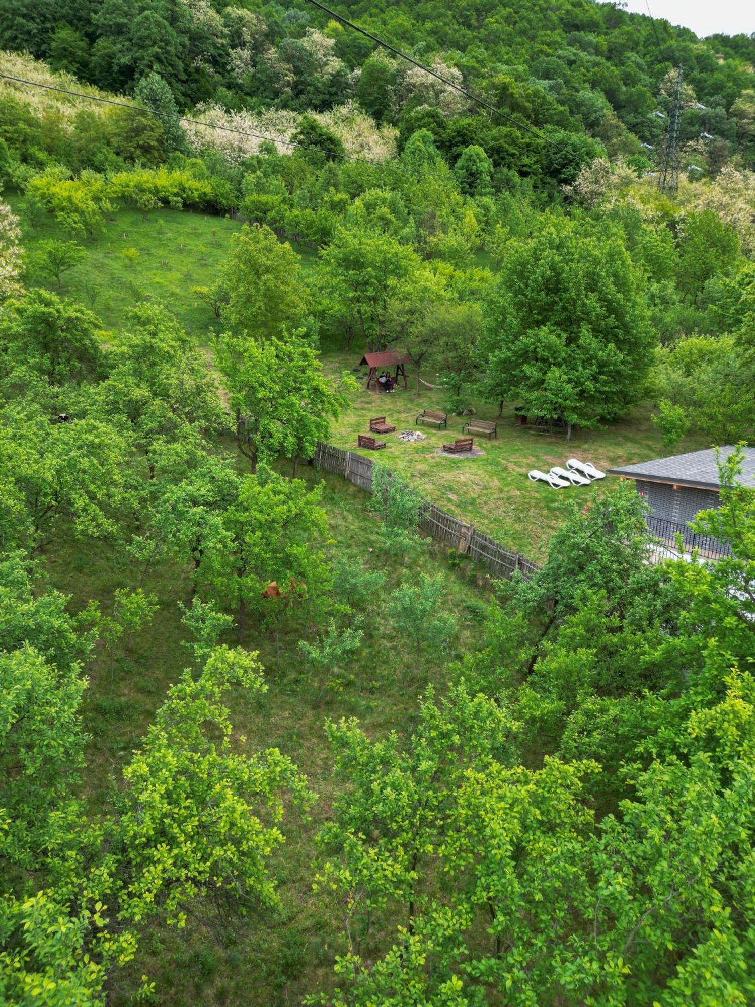 Green Hill Villa Călimăneşti Εξωτερικό φωτογραφία